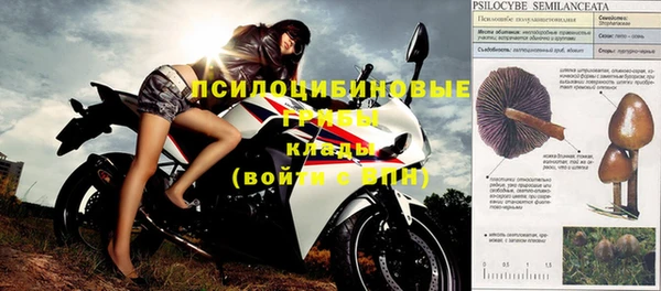 круглые Алзамай
