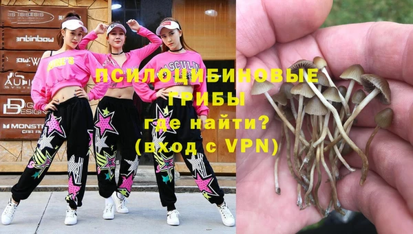 Альфа ПВП Алексеевка